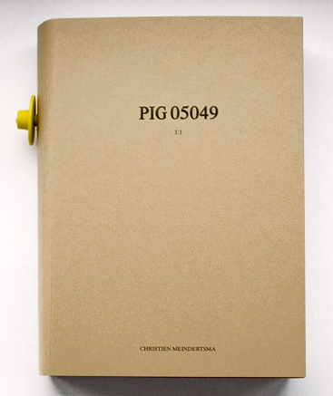 PIG05049